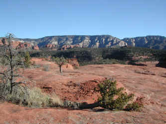 DSCN2954.JPG (210859 bytes)