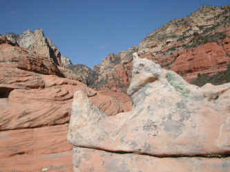 DSCN3194-1.JPG (230678 bytes)