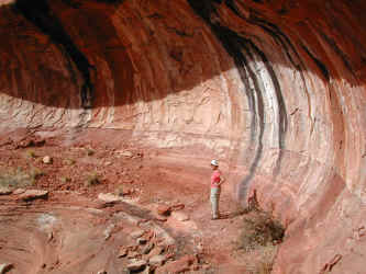 DSCN3097.JPG (226572 bytes)