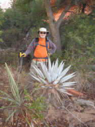 IMG_2967.jpg (2089868 bytes)