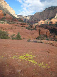 IMG_2970.jpg (3877360 bytes)