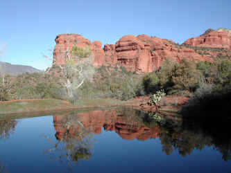 P030221111106_817.JPG (168298 bytes)