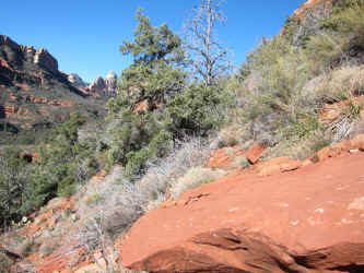 IMG_0423.JPG (4395905 bytes)