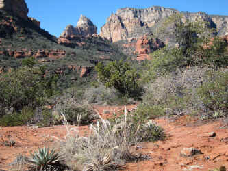 IMG_0442.JPG (4789782 bytes)