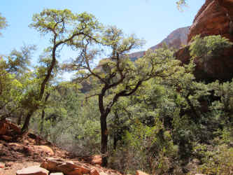 IMG_0449.JPG (4563898 bytes)