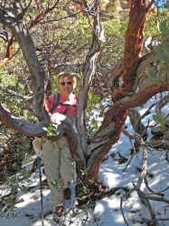 IMG_0583_1.jpg (3039438 bytes)