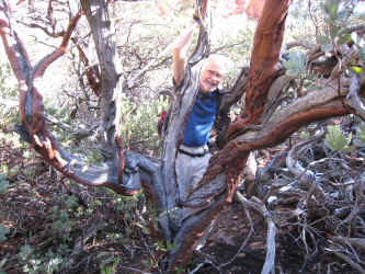 IMG_1573.jpg (3280066 bytes)