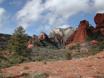 P030216131008_777.JPG (170946 bytes)