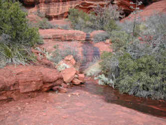 P030216132409_780.JPG (191936 bytes)