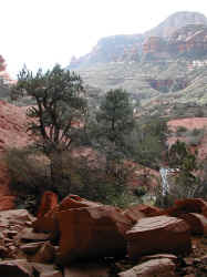 P030216134250_782.JPG (175716 bytes)