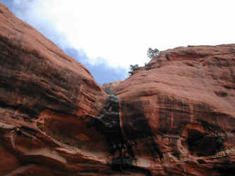 P030216141927_784.JPG (165377 bytes)