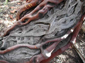 P030216145917_786.JPG (181603 bytes)