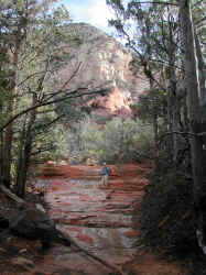 DSCN3137.JPG (238665 bytes)