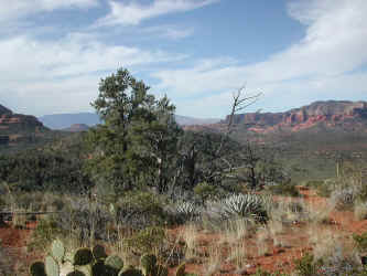 DSCN3139.JPG (212840 bytes)