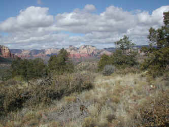 DSCN3180_edited-1.jpg (480629 bytes)