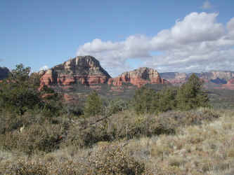 DSCN3181.JPG (220549 bytes)