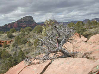 DSCN3184E.jpg (434690 bytes)