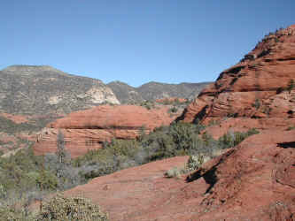 DSCN2983.JPG (209414 bytes)