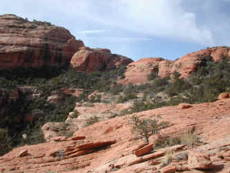 DSCN3066.JPG (213058 bytes)