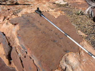 IMG_0333.JPG (3967959 bytes)