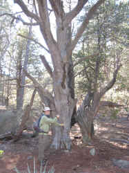 IMG_1614.jpg (3242190 bytes)