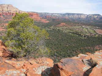 IMG_0751.JPG (3824572 bytes)