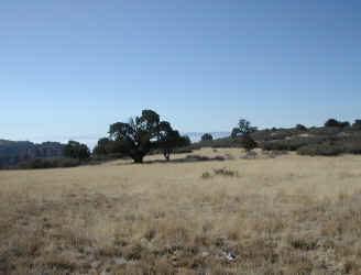 DSCN3648.JPG (908035 bytes)