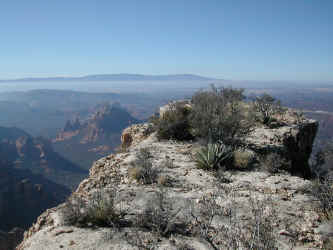 DSCN3651.JPG (407639 bytes)