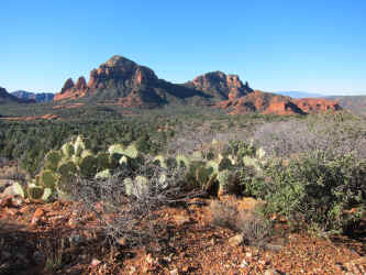 IMG_0117.JPG (3879039 bytes)