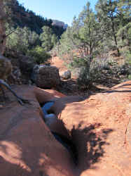 IMG_0121.JPG (3596057 bytes)