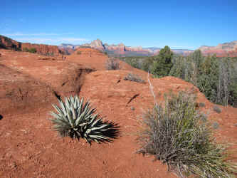 IMG_0139.JPG (3937817 bytes)