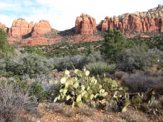 IMG_0016.JPG (4199155 bytes)