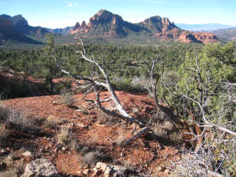 IMG_1649.jpg (3736022 bytes)