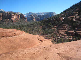 IMG_2985.jpg (4017430 bytes)