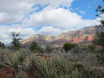 IMG_0523.JPG (2777243 bytes)