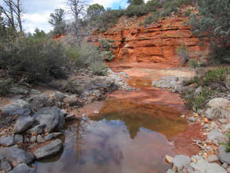 IMG_0531.JPG (3624804 bytes)