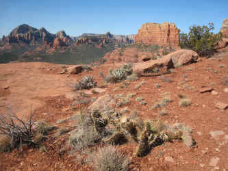 IMG_3129.jpg (4834526 bytes)