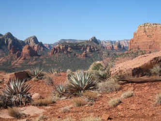 IMG_3130.jpg (4172833 bytes)