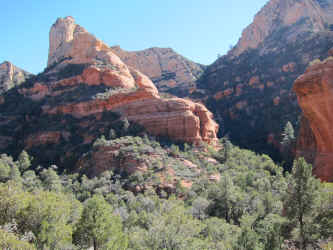 IMG_0355.JPG (3429340 bytes)