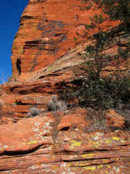 IMG_0364.JPG (1469426 bytes)