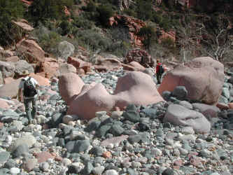 DSCN3111.JPG (238816 bytes)