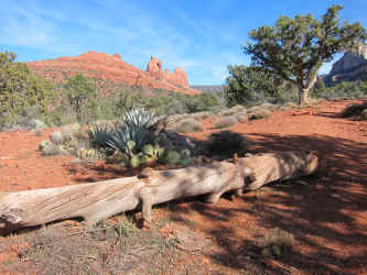 IMG_0207.JPG (4059643 bytes)