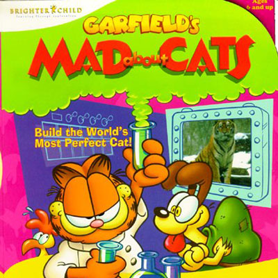 Garfield Mad About Cats box art