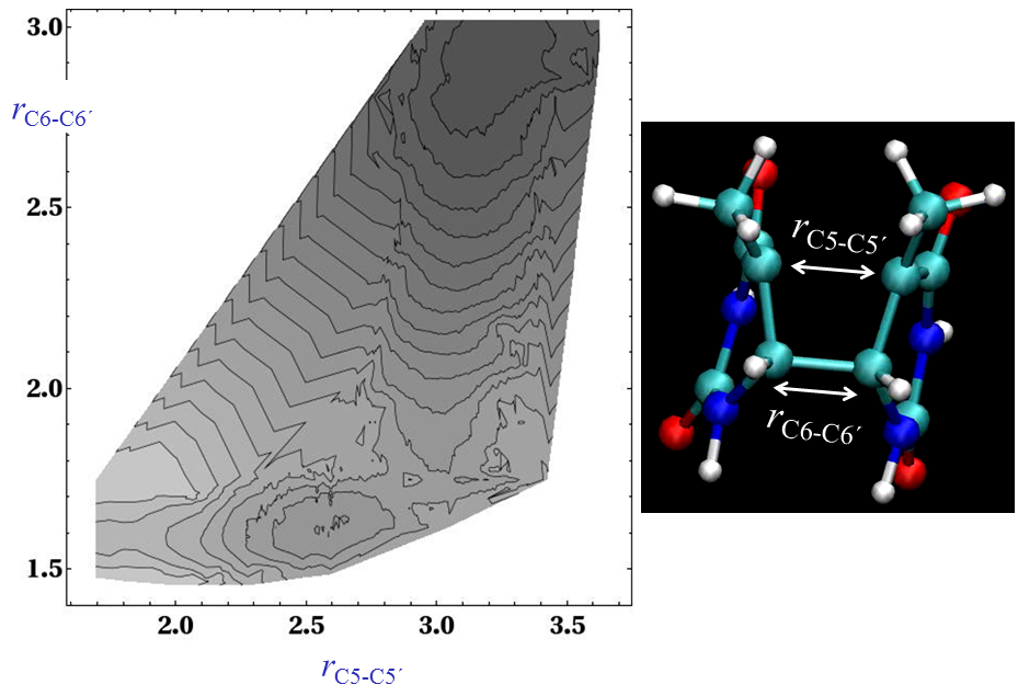 CPD free energy
surface