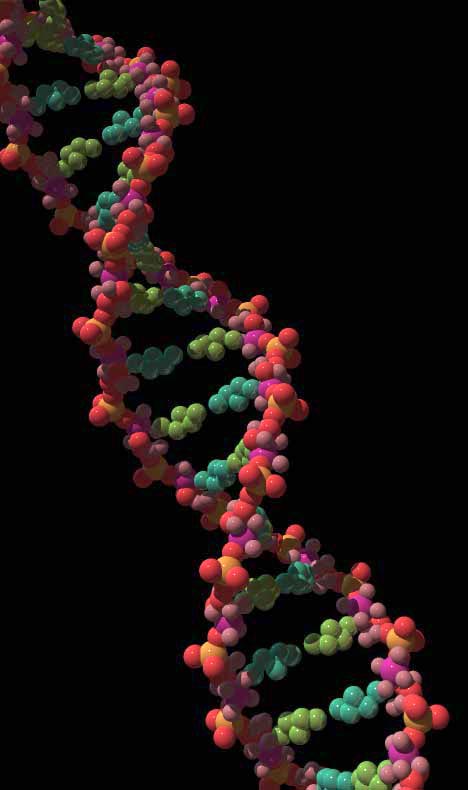 DNA