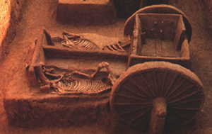 A chariot and horse bodies found in Anyang